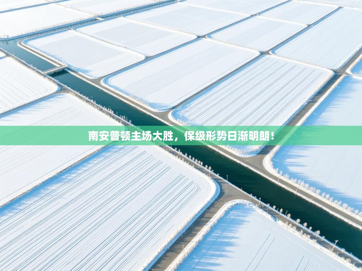 南安普顿主场大胜,保级形势日渐明朗! 第1张