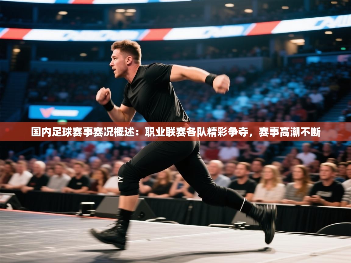 国内足球赛事赛况概述：职业联赛各队精彩争夺，赛事高潮不断  第1张
