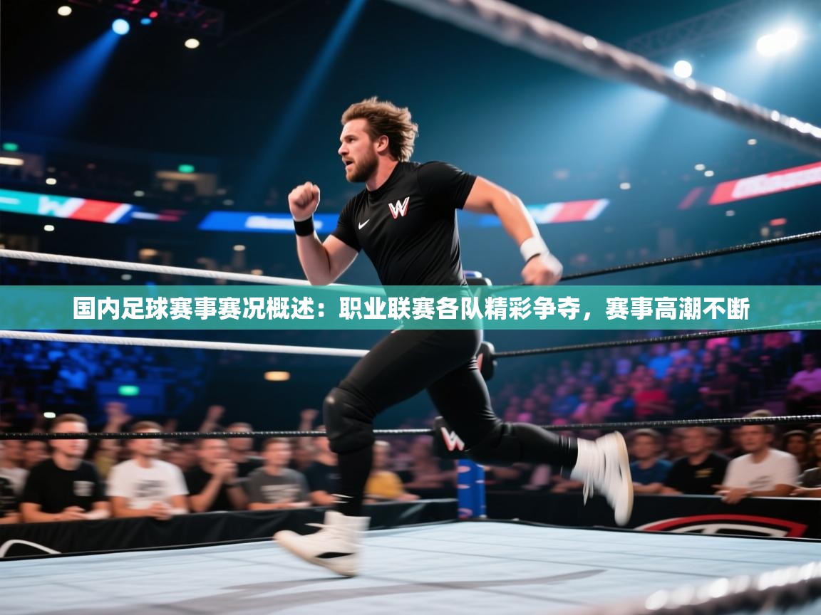 国内足球赛事赛况概述：职业联赛各队精彩争夺，赛事高潮不断  第2张